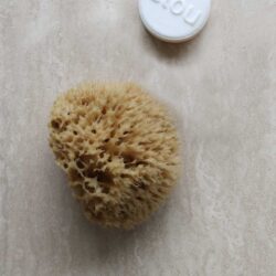 Honeycomb natursvamp
