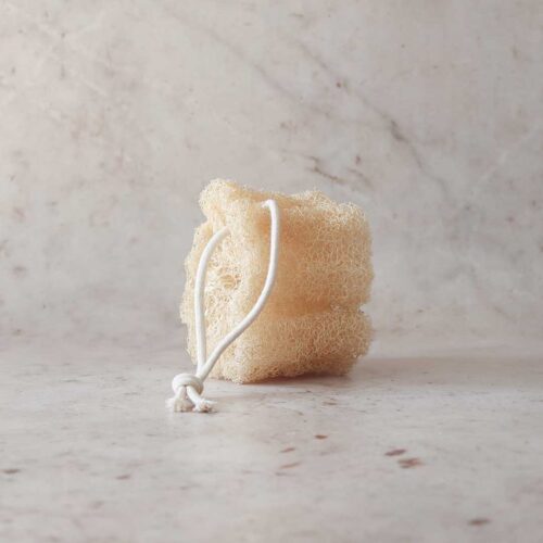Alternative view of Loofah svamp