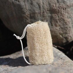 Loofah svamp