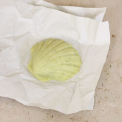 Mussla tvål bar ∙ Pine, Sage & Grapefruit